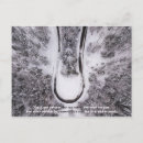 Pesquisar por palavras da sabedoria cartoes postais Citação