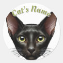 Pesquisar por black cat adesivos Gatinho