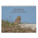 Pesquisar por da coruja calendarios Natureza