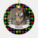 Pesquisar por coloridos gatos para ornamentos For pets