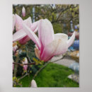 Pesquisar por grande flor pôsteres Rosa