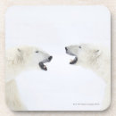 Pesquisar por urso polar porta copos Animais