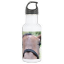 Pesquisar por cavalo marinho garrafa agua Qualquer pessoa