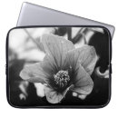 Pesquisar por florais fotografia capas Floral