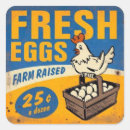 Pesquisar por galinha e ovos adesivos Colheita