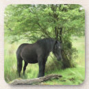 Pesquisar por cavalo preto porta copos Égua