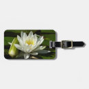 Pesquisar por almofada bagagem tags Lagoa