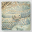 Pesquisar por cascavel porta copos Cobras