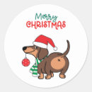 Pesquisar por dachshund engraçado adesivos Natal