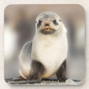 Pesquisar por selos porta copos Praia