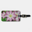 Pesquisar por trio bagagem tags Qualquer pessoa