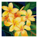 Pesquisar por plumeria pôsteres Havaiano