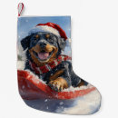 Pesquisar por rottweiler meias de natal Amante de cachorro