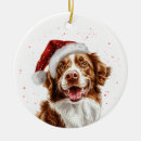 Pesquisar por scotia ornamentos Natal