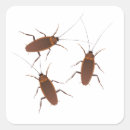 Pesquisar por pragas adesivos Inseto