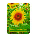 Pesquisar por girassol bonito imas Inspiração