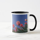 Pesquisar por vermelha da tulipa canecas Rosa