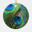 Pesquisar por pavão azul ornamentos Fotografia