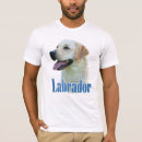 Pesquisar por de labrador retriever camisetas Recuperador