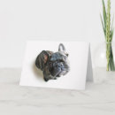 Pesquisar por french bulldog de cartoes Purebred