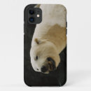 Pesquisar por conservação capas Urso