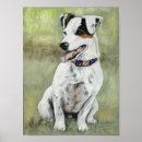 Pesquisar por jack russell pôsteres Canino