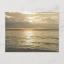 Pesquisar por paisagem tropical cartoes postais Horizonte