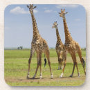 Pesquisar por giraffa porta copos Vertical