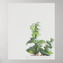 Pesquisar por photography pôsteres Green