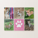 Pesquisar por paw fotografia For her