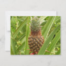 Pesquisar por fruta exótica cartoes Verde