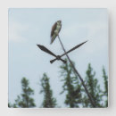 Pesquisar por pássaros em uma árvore relogios de parede Árvores