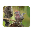 Pesquisar por bocas imas For her