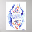 Pesquisar por sinapse pôsteres Nervo