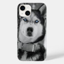 Pesquisar por olhos azuis capas Cão