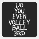 Pesquisar por mano adesivos Voleibol