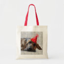 Pesquisar por sangue bolsas Animais