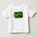Pesquisar por dewdrops camisetas Orvalho
