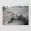 Pesquisar por dragao komodo cartoes postais Animal