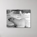 Pesquisar por polar impressão de canvas Alaska
