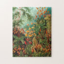 Pesquisar por natureza Ernst haeckel