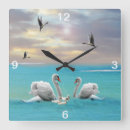 Pesquisar por cisne branca Cisnes
