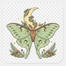 Pesquisar por mariposa adesivos Goblincore