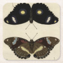 Pesquisar por fundas porta copos Colorido