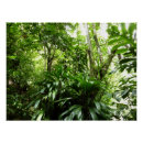 Pesquisar por dominicana pósteres pôsteres Paisagem