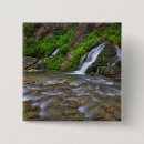 Pesquisar por virgem botons Sertão