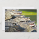 Pesquisar por aparelho cartoes Natureza