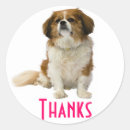 Pesquisar por cavalier adesivos Cachorrinho
