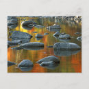 Pesquisar por seneca cartoes Ie