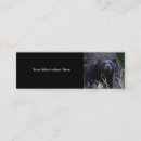 Pesquisar por urso preto cartao de visita Animal